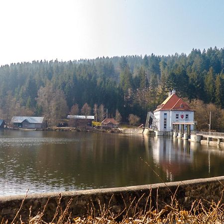 Ferienhaus Nr 18B1, Feriendorf Hagbuegerl, Bayr Wald Waldmünchen Buitenkant foto